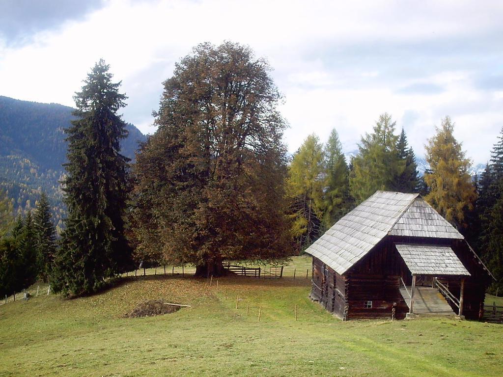 Privatpension Herta Sankt Georgen ob Murau Exterior photo